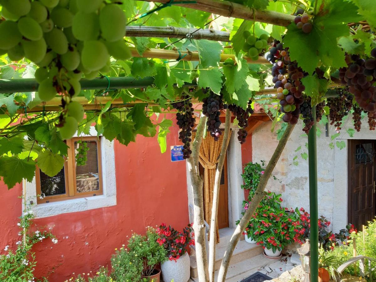 Guesthouse Villa Marija Motovun Luaran gambar