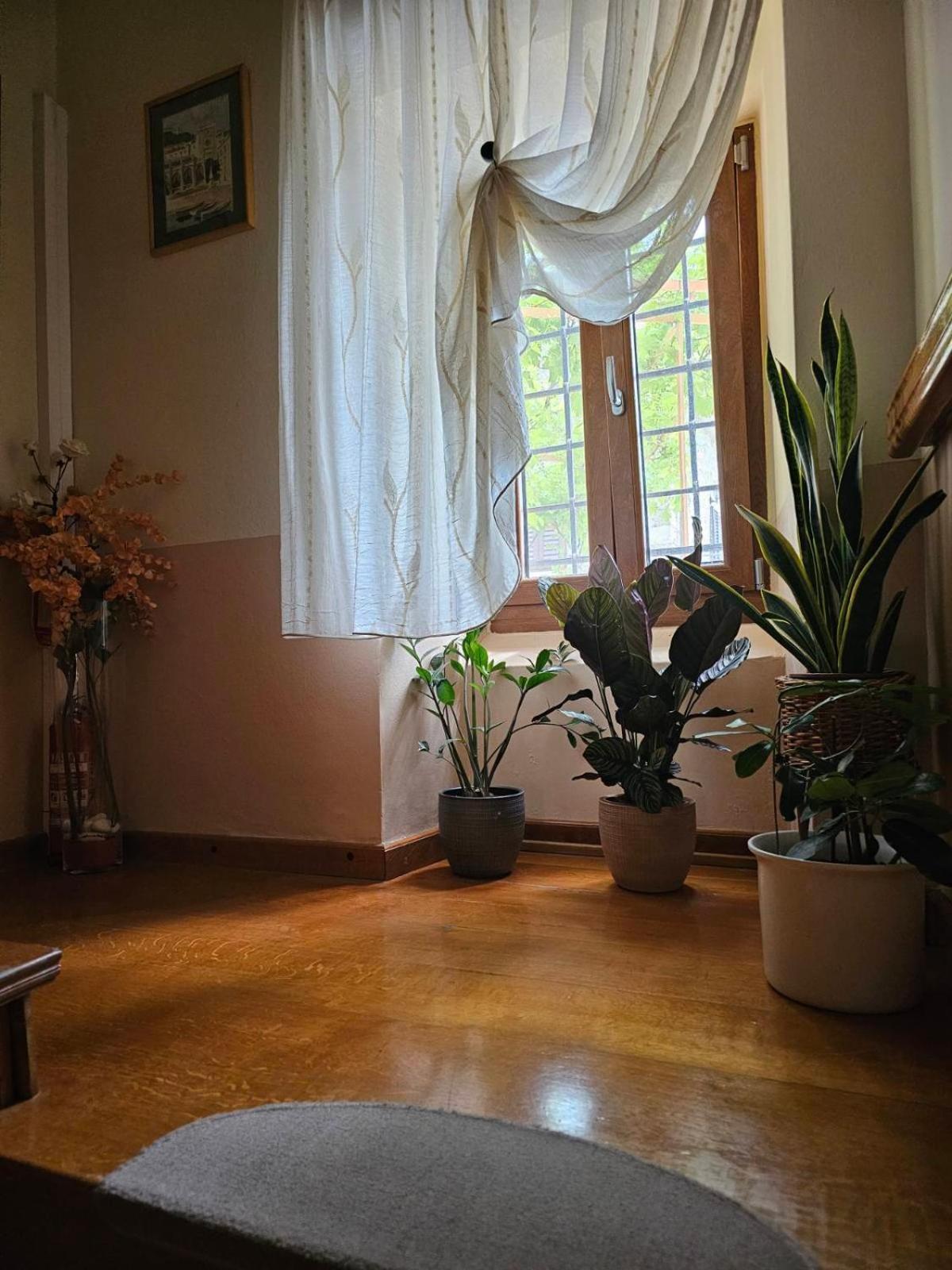 Guesthouse Villa Marija Motovun Luaran gambar